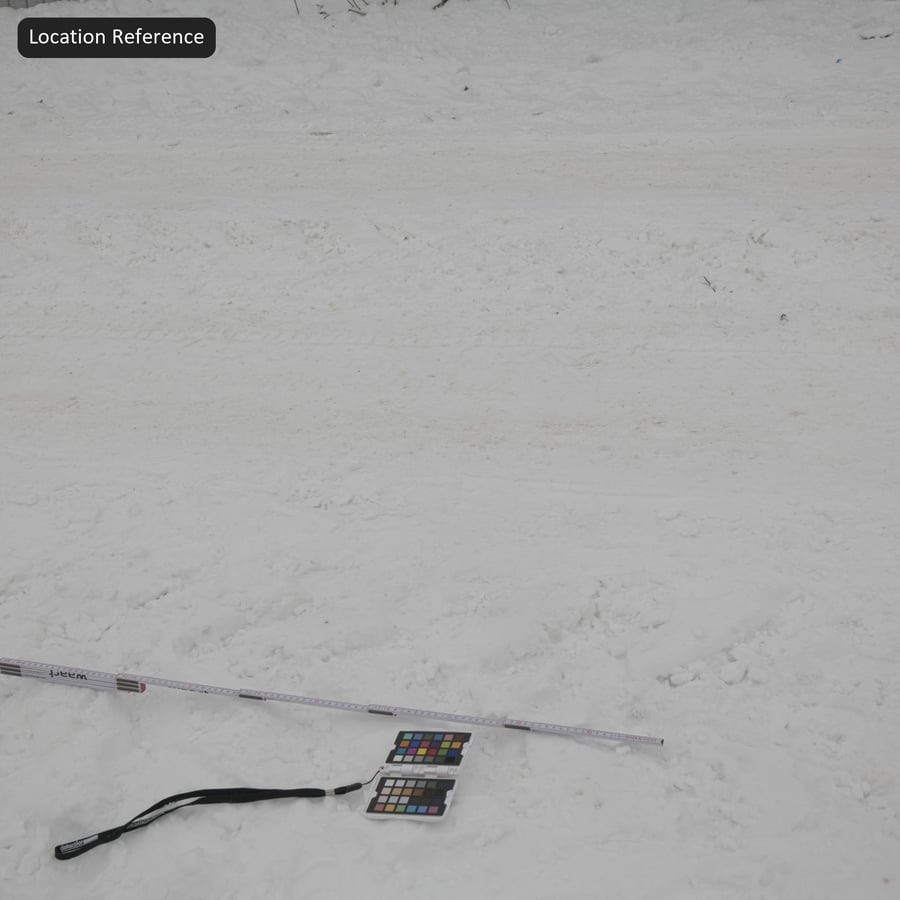 Large Tire Marks on Snow Texture