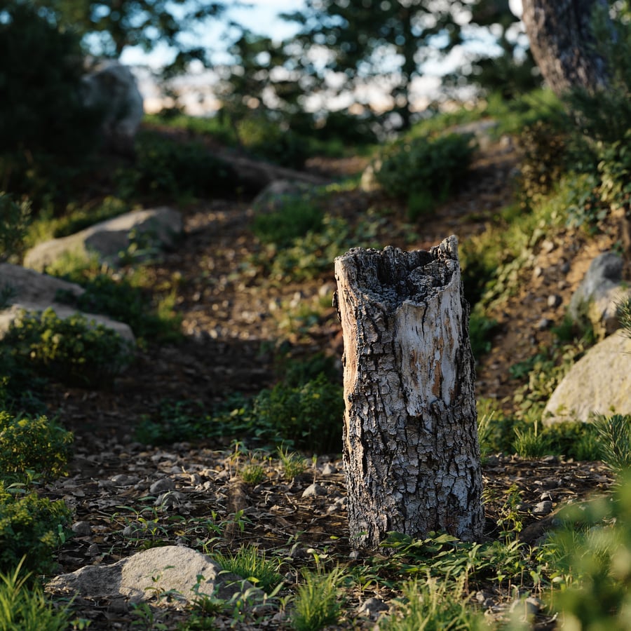 Medium Broken Flaking Conifer Stump Model