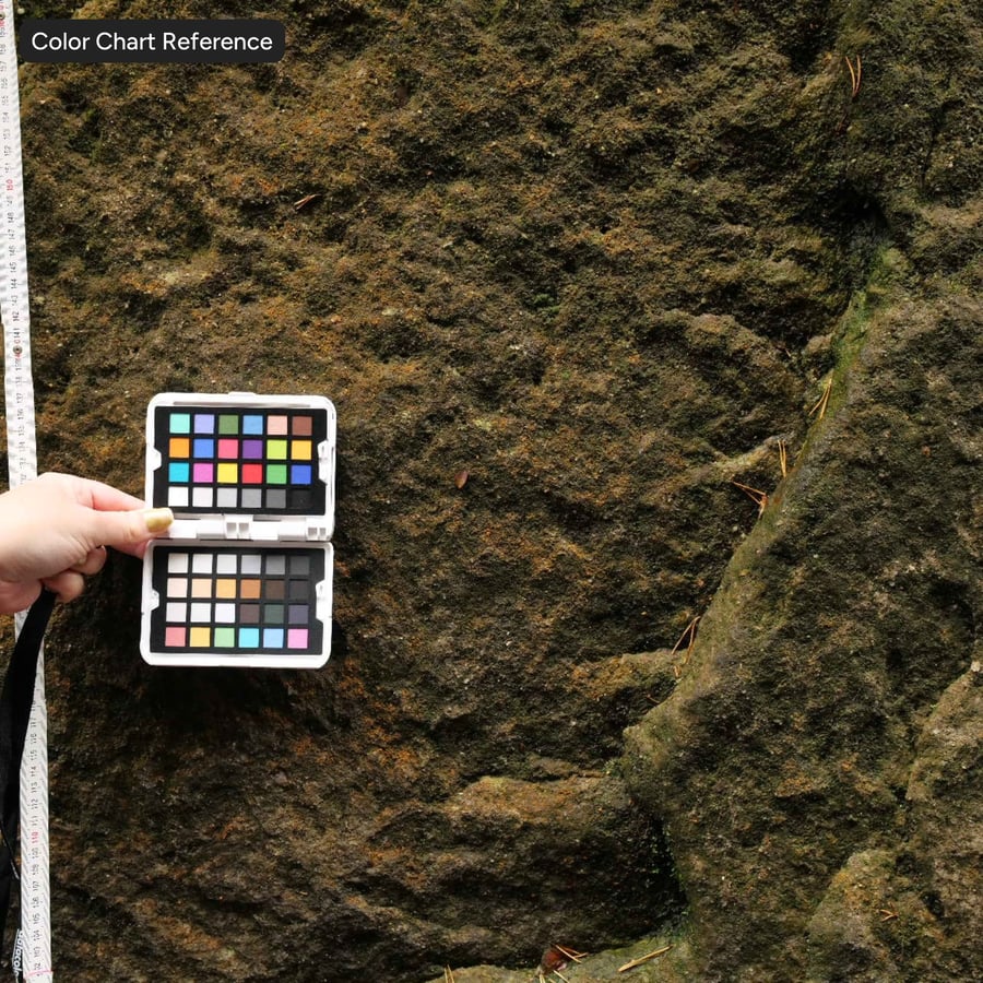 Texture roccia scoscesa e muschiosa