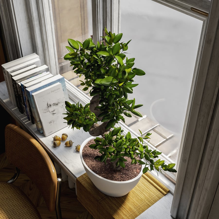 Modelo de planta em vaso bonsai