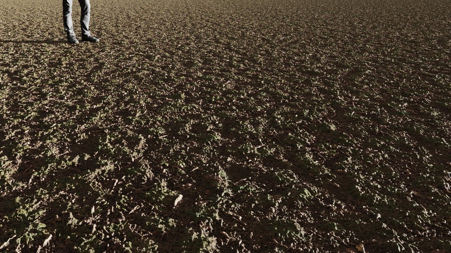 Textura de floresta com relva irregular
