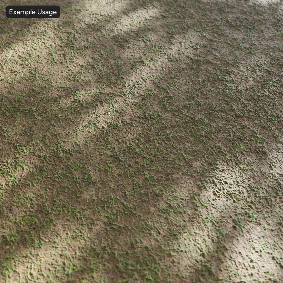 Textura de relva irregular e cheia de ervas daninhas