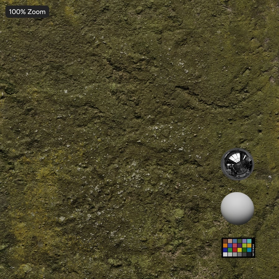 Mossy Concrete Wall Texture