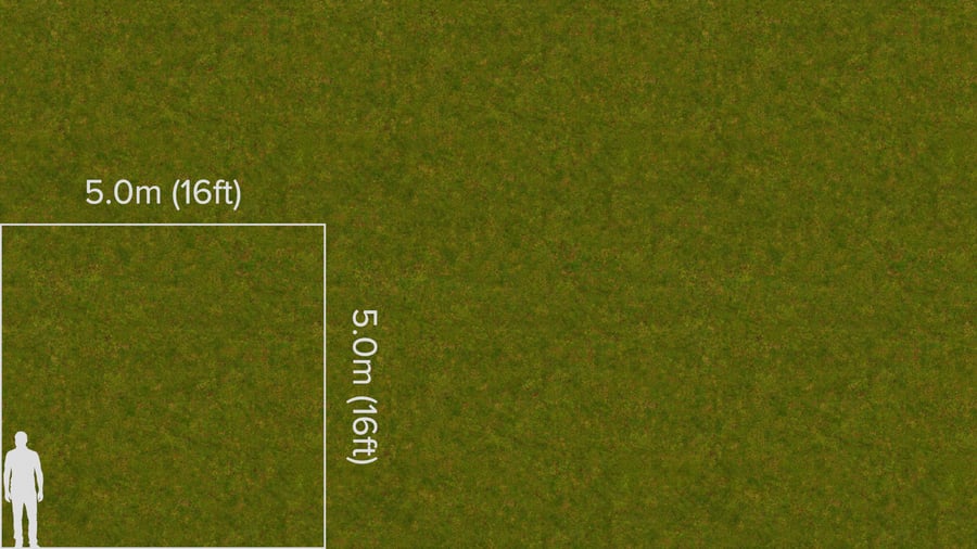 Clover and Grass Texture