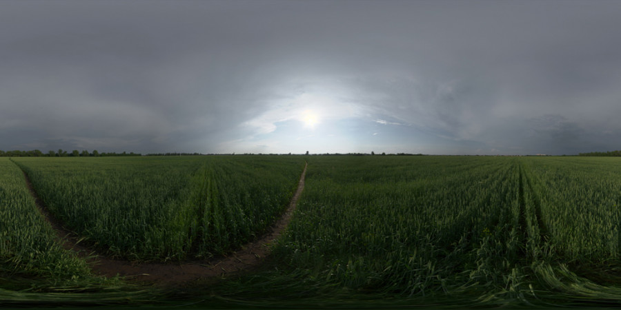 Dark Overcast Afternoon Field Outdoor Sky HDRI