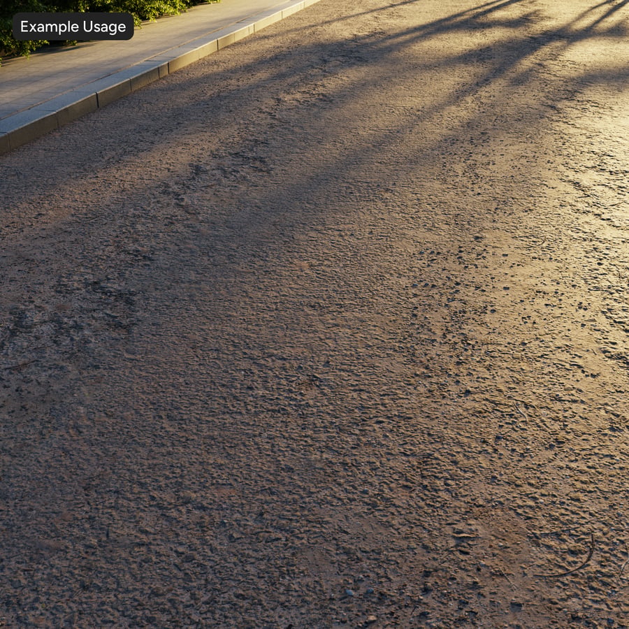 Eroded Coarse Aggregate Asphalt Texture