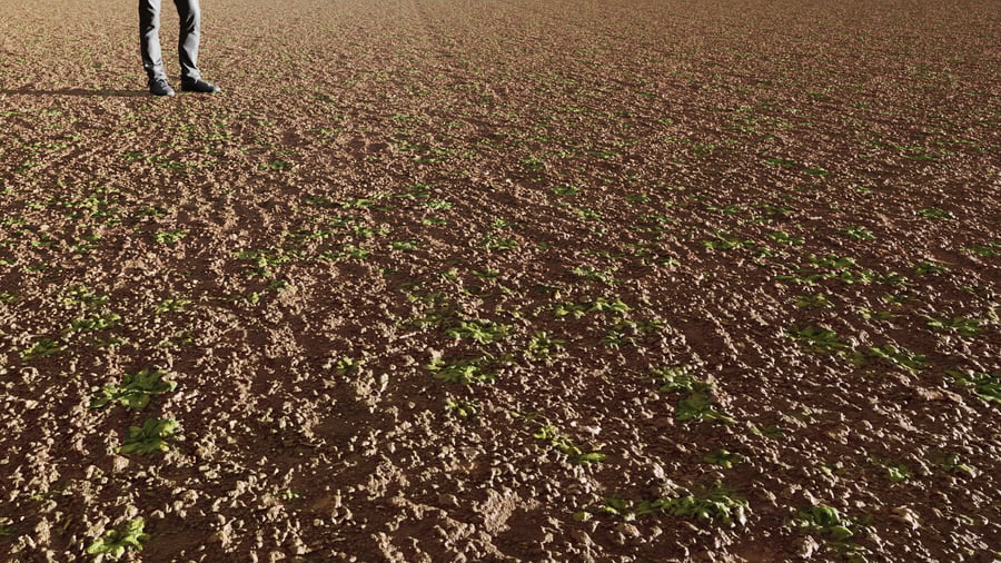 Dense Weeds on Tilled Dirt Texture