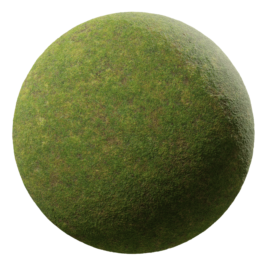 Grass Ground Texture, Green