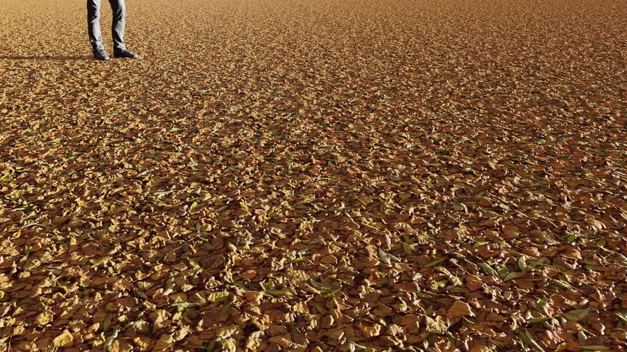 Textura de folhas mistas