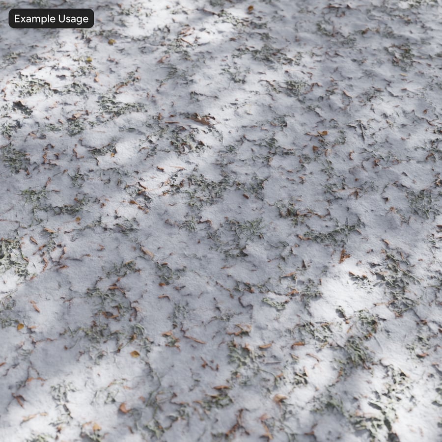Snow and Leaves on Grass Texture