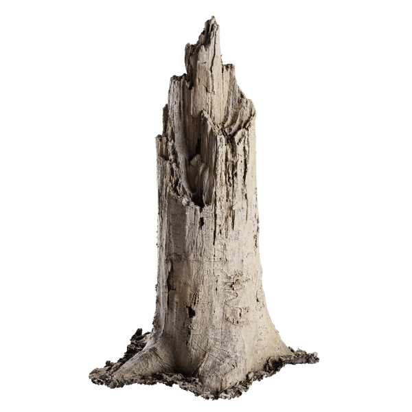 Medium Broken Splintered Bare Stump Model
