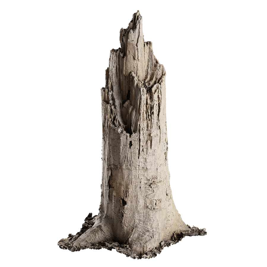 Medium Broken Splintered Bare Stump Model