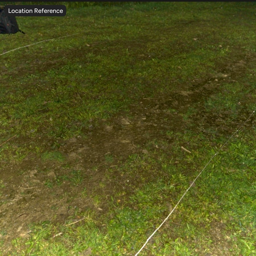 Patchy Grass on Dirt Texture
