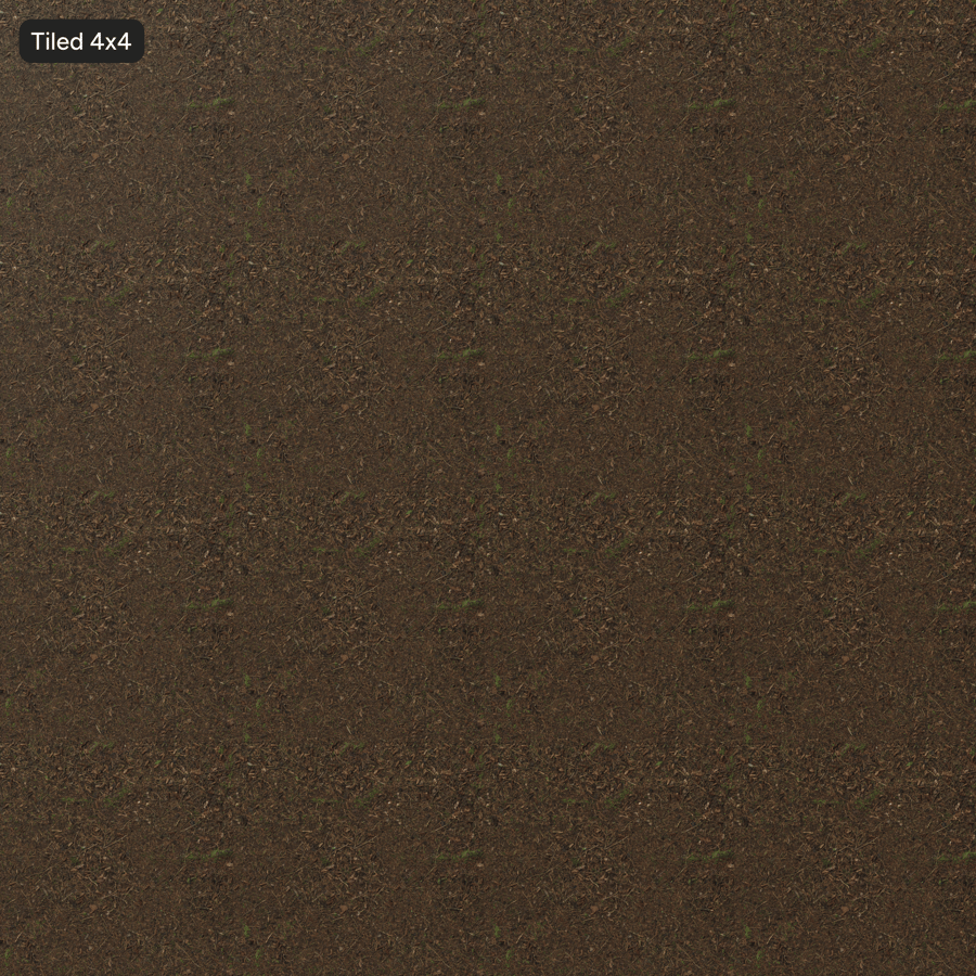 Texture du sol de la forêt sèche