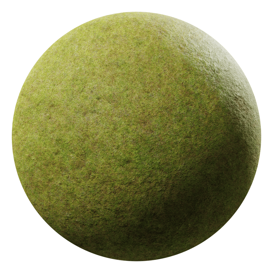 Patchy Grassy Field Texture