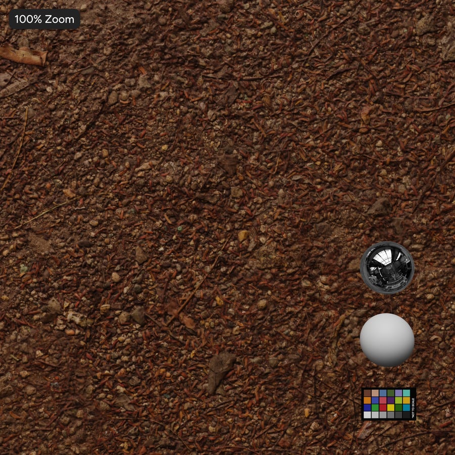 Small Pebbles and Debris on Dirt Texture