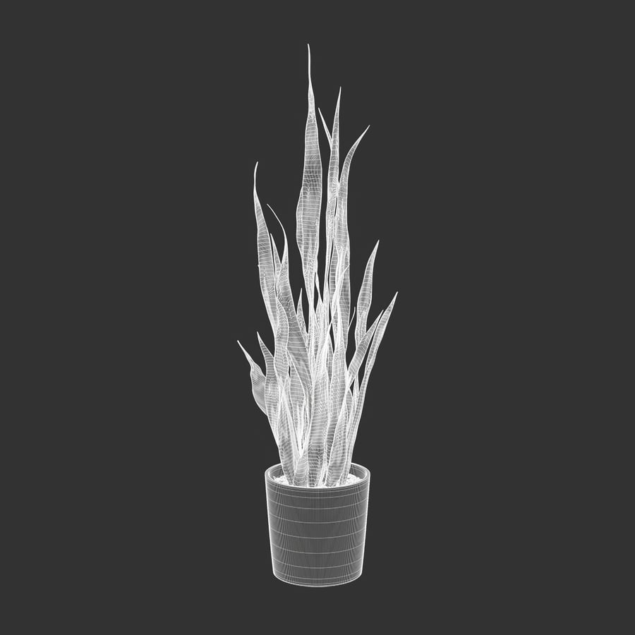 Tall Snake Plant Potted Plant Model