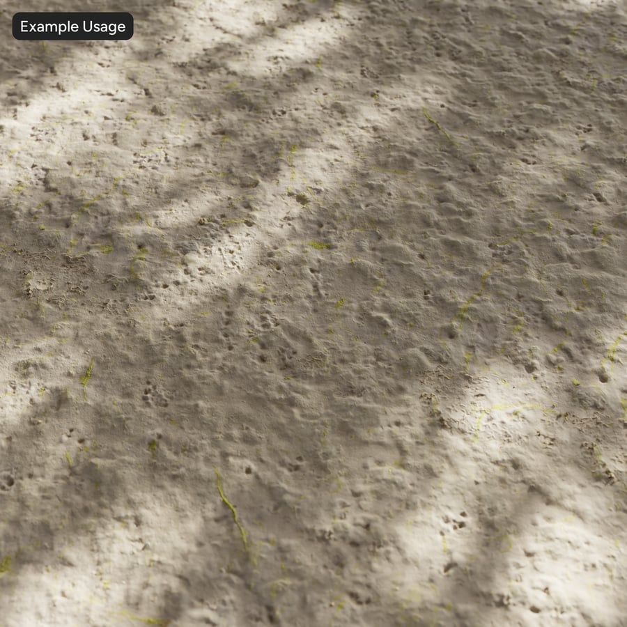 Dirty Wet Beach Sand Texture