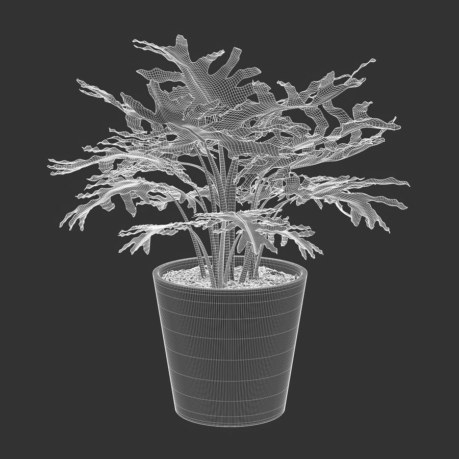 Philodendron Plant Potted Plant Model