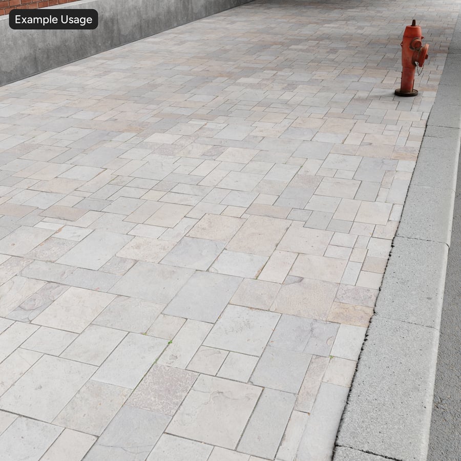 Patterned Stone Paver Texture