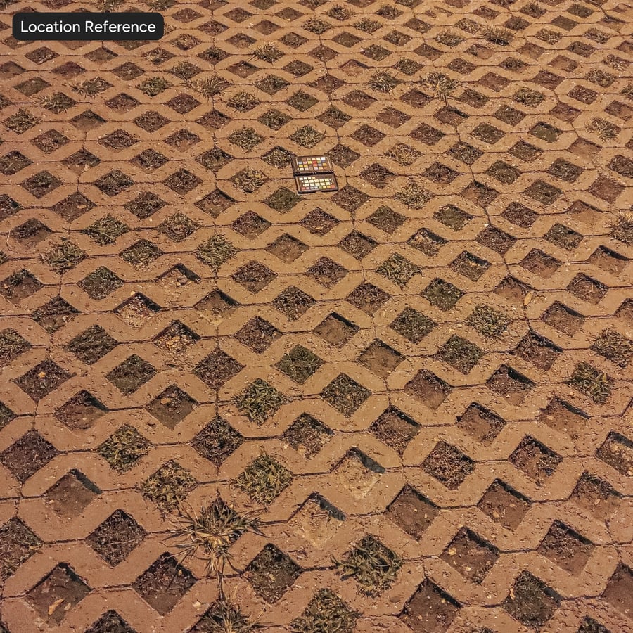 Grass on Diamond Patterned Eco Stone Paver Texture
