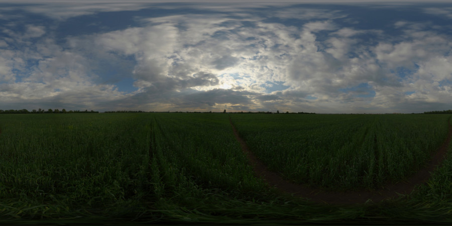Scattered Cloud Afternoon Field Outdoor Sky HDRI, Grey