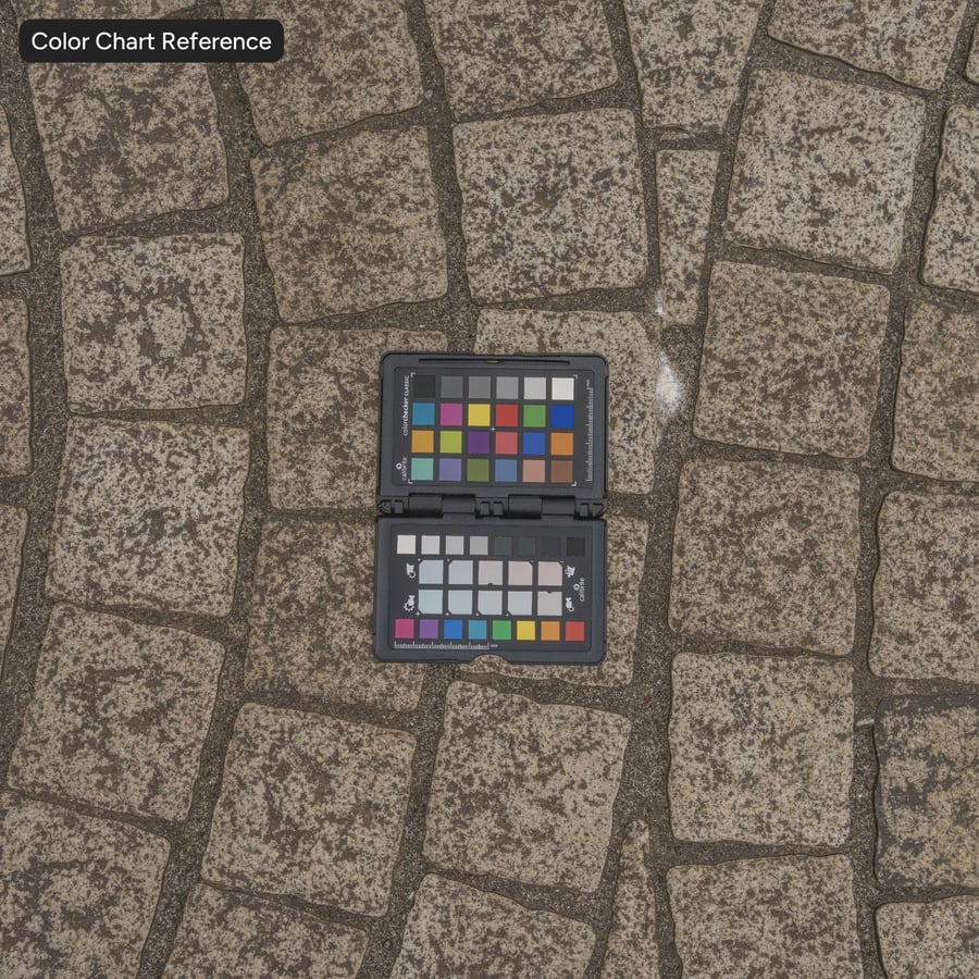 Circle Patterned Cobblestone Paver Texture