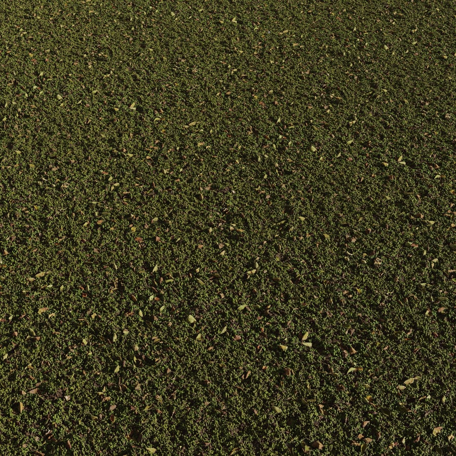 Patchy Weeds with Leaves Texture