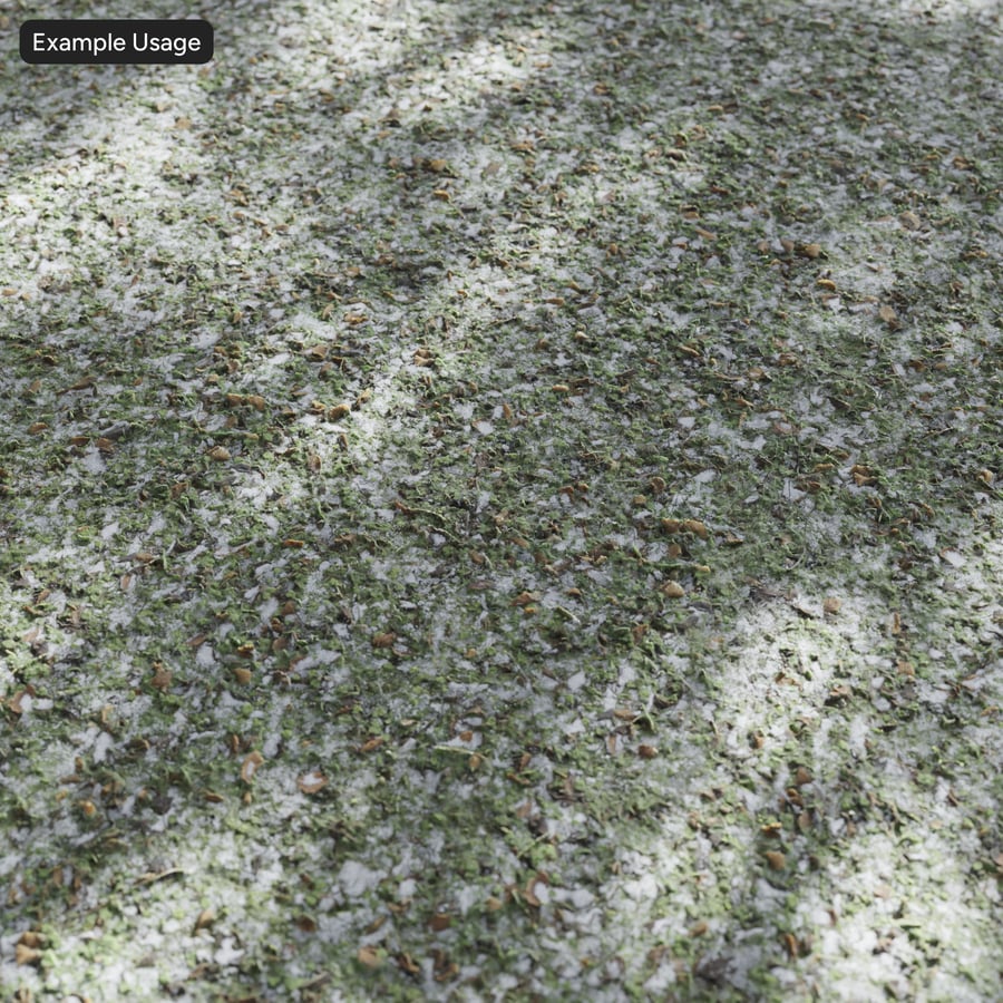 Textura de neve e folhas caídas na relva