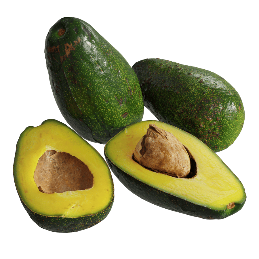 Zutano Avocado Models