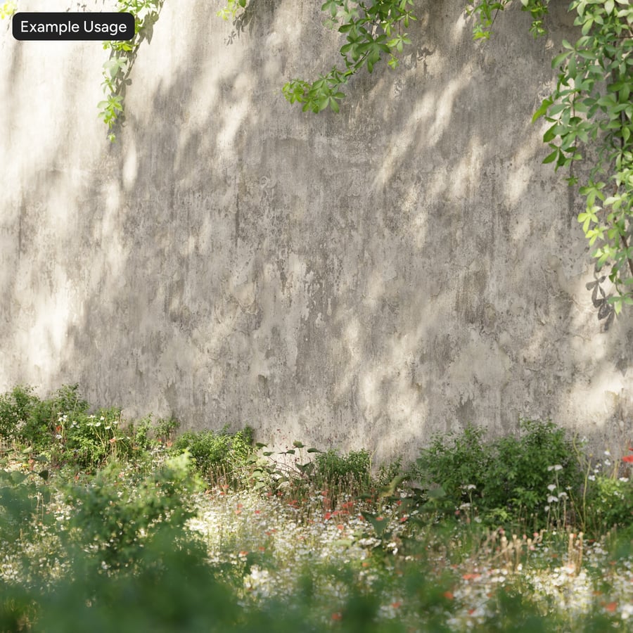 Old Moldy Plaster Wall Texture