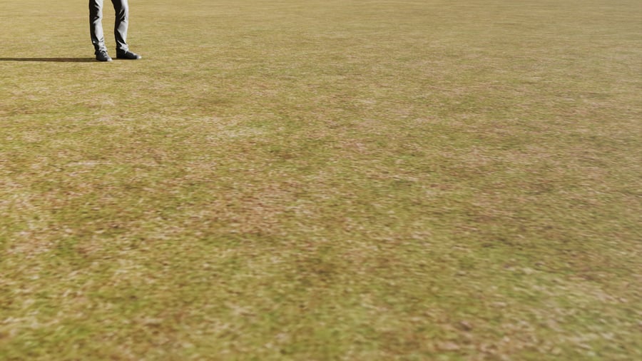 Grass Field Ground Texture, Patchy Brown