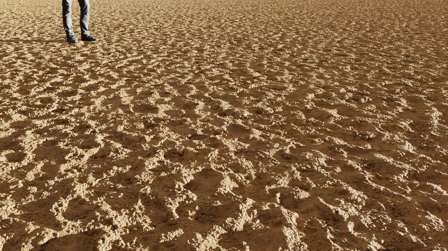 Wet Footprints on Sand Texture, Caramel