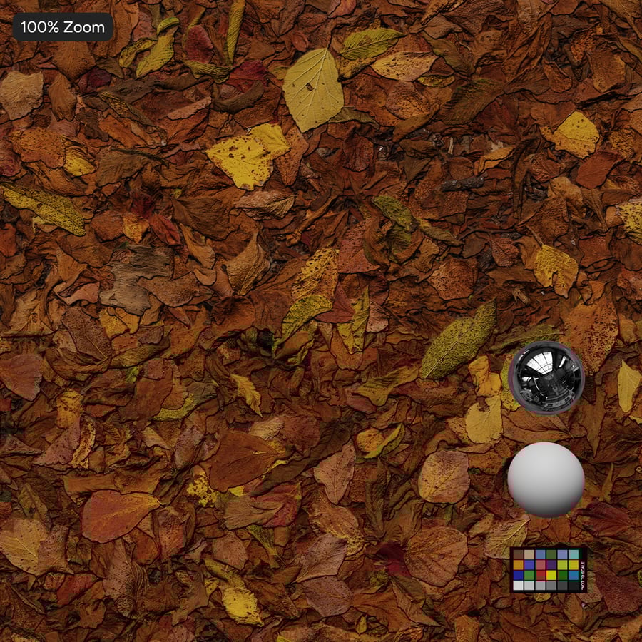 秋天森林樹葉在地面上的紋理