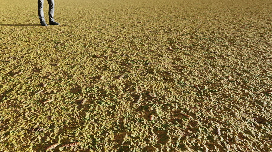 Pine Cones & Grass Ground Texture, Yellow