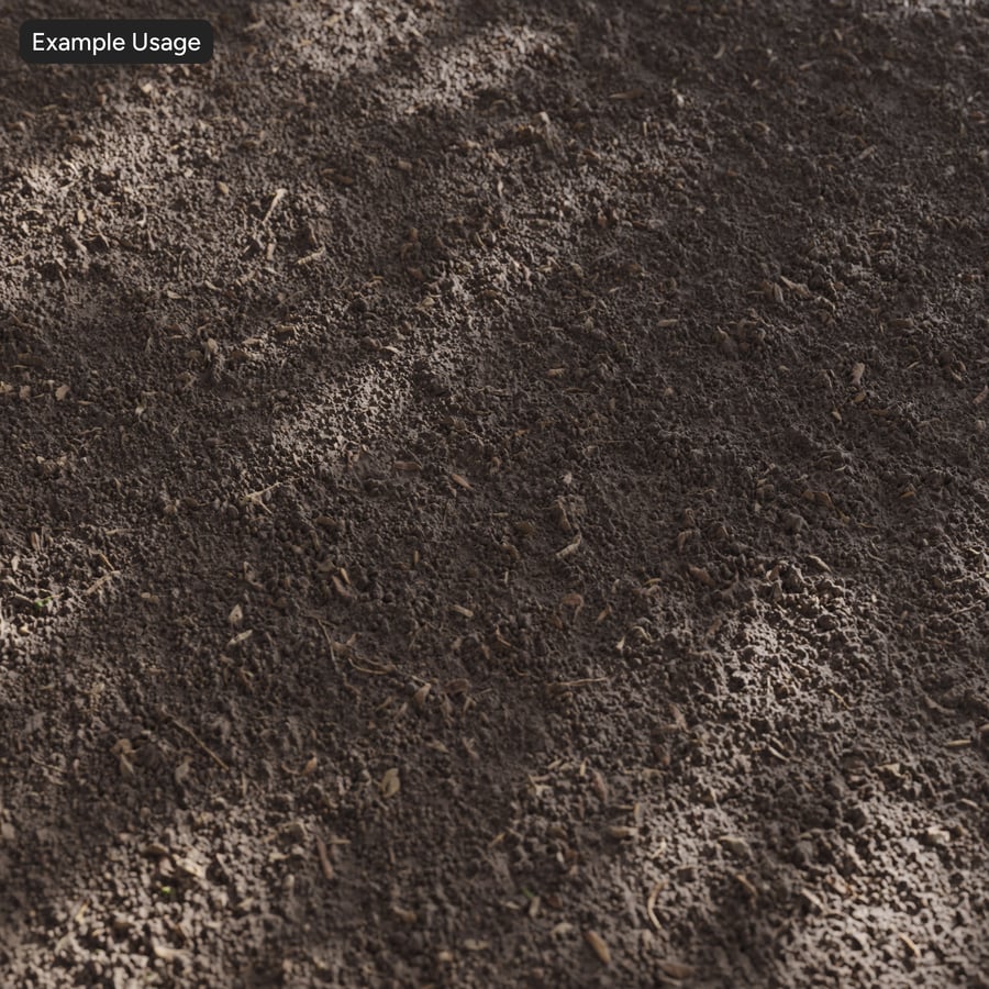 Dry Dirt Forest Texture, Brown