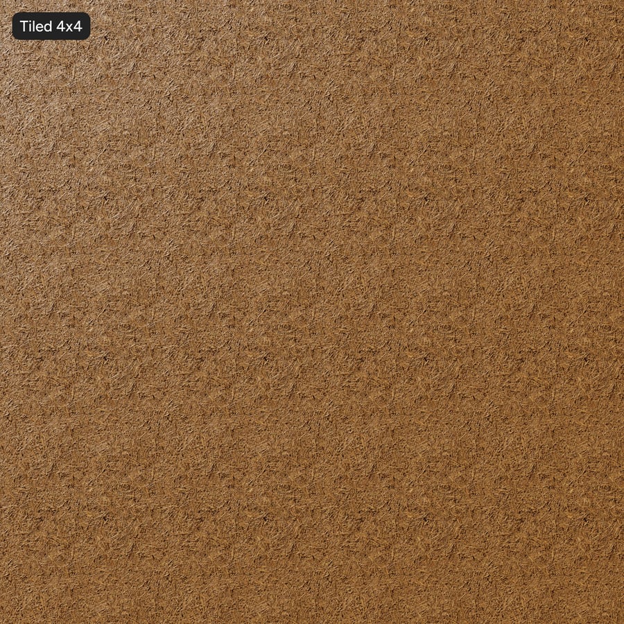 Texture des roseaux séchés