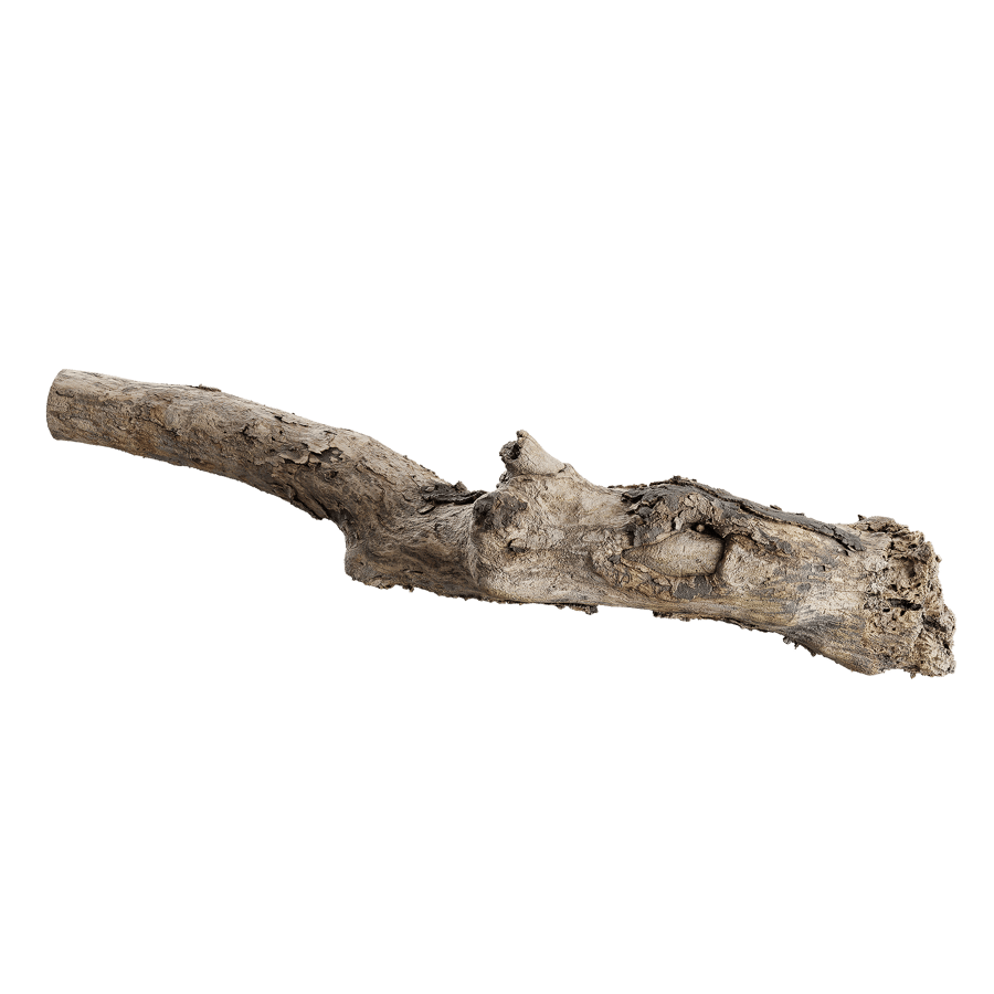 Gnarly Decaying Log Model