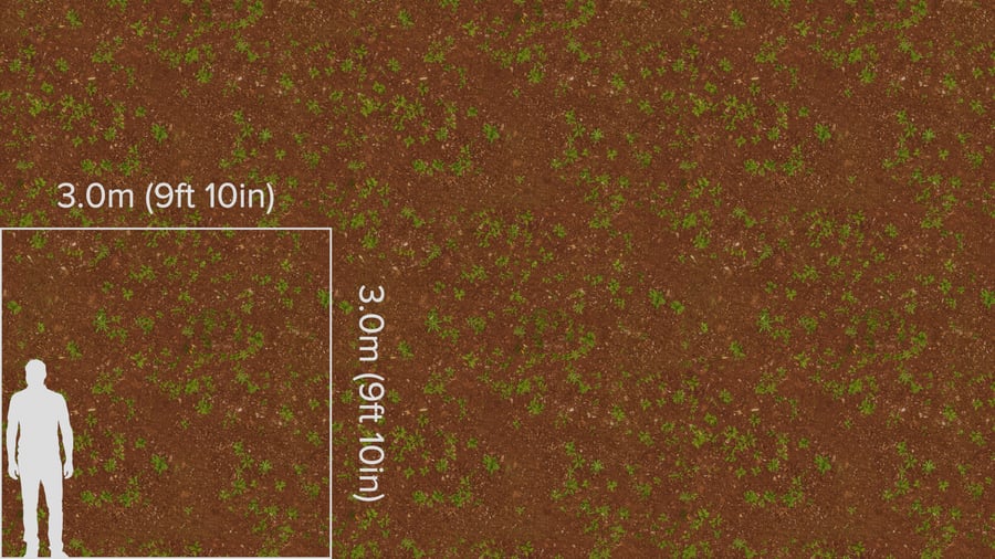 Dense Weeds on Tilled Dirt Texture