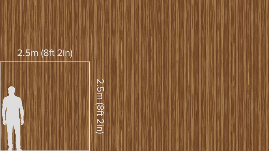 Wood Fine Veneer Walnut Large 006