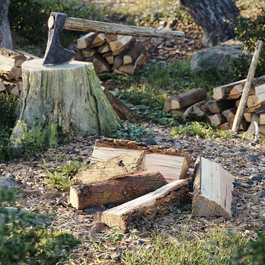 Split Conifer Firewood Models Collection