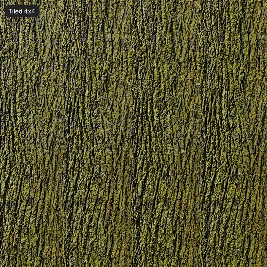 Mossy Bark Texture