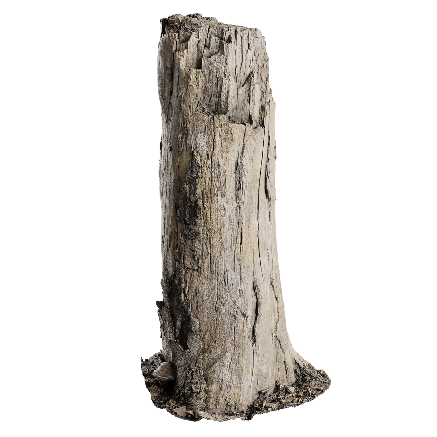 Tall Broken Bare Splintered Stump Model
