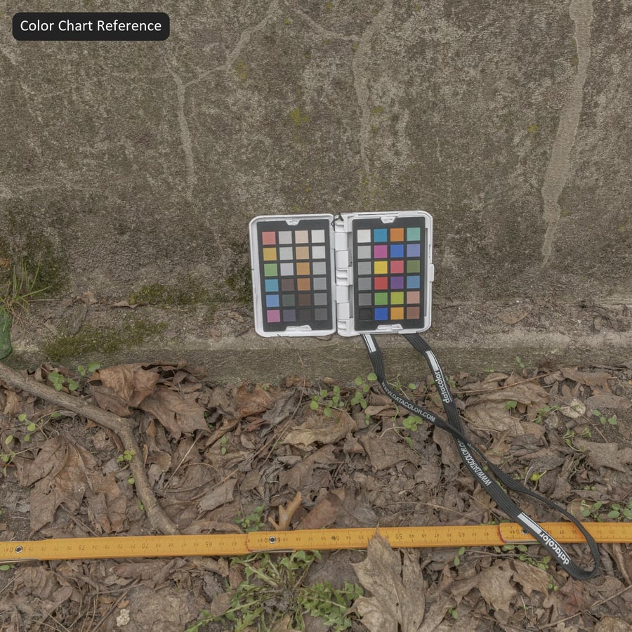 Texture murale en béton vieilli