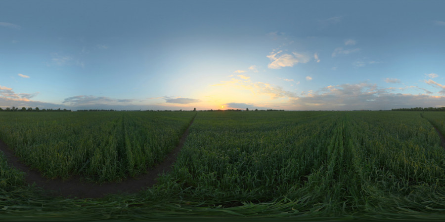 Cloudy Horizon Sunset Field Outdoor Sky HDRI