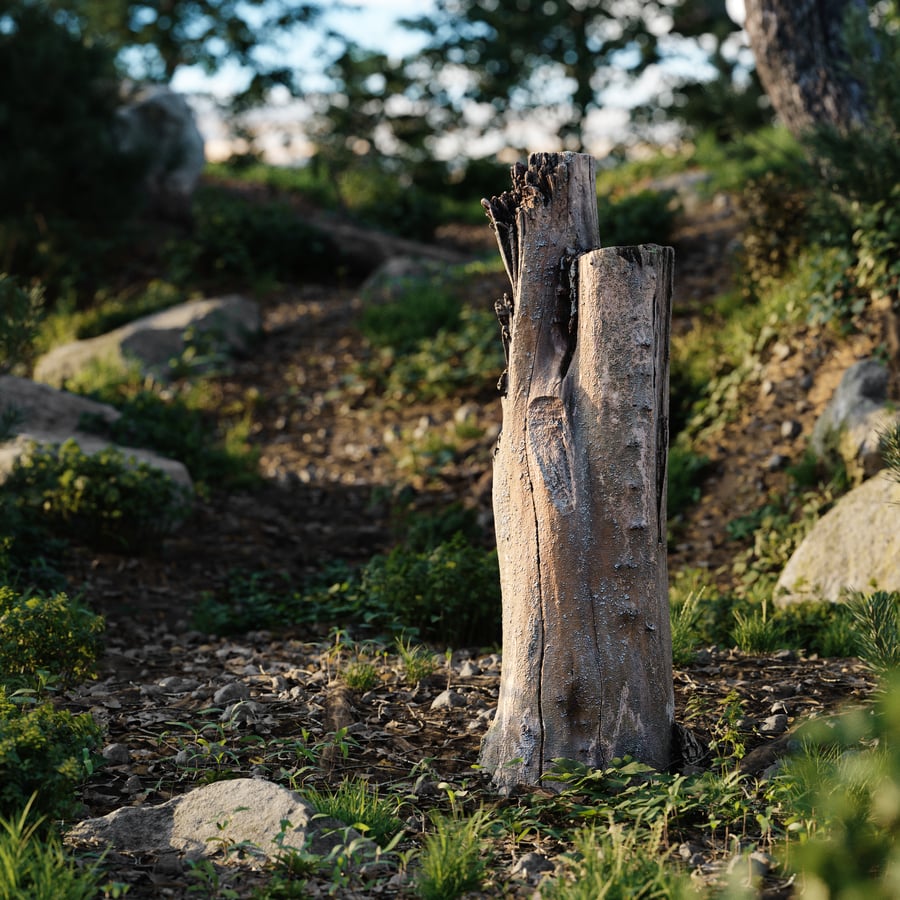 Tall Bare Deciduous Stump Model