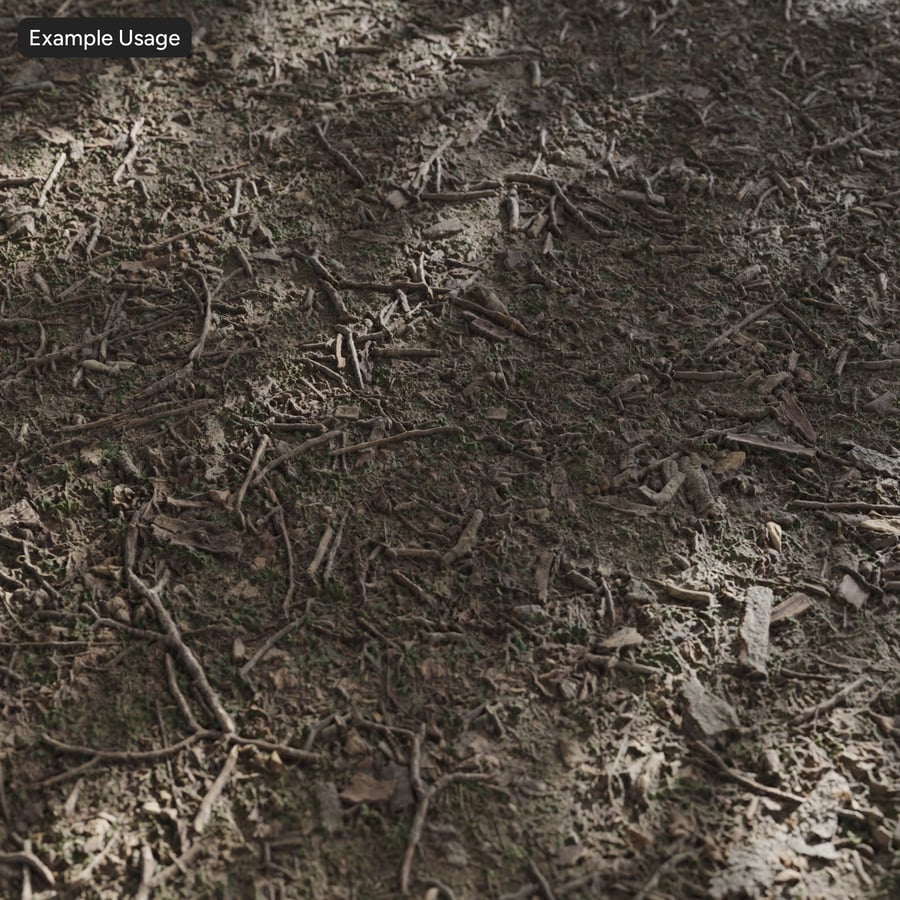 Stick Debris on Forest Texture