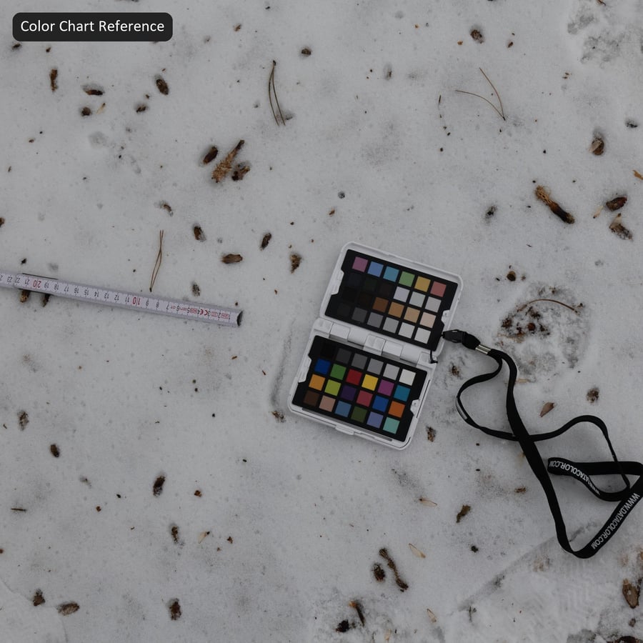 Debris and Footprint on Snow Texture