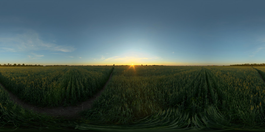 Clear Sunset Field Outdoor Sky HDRI