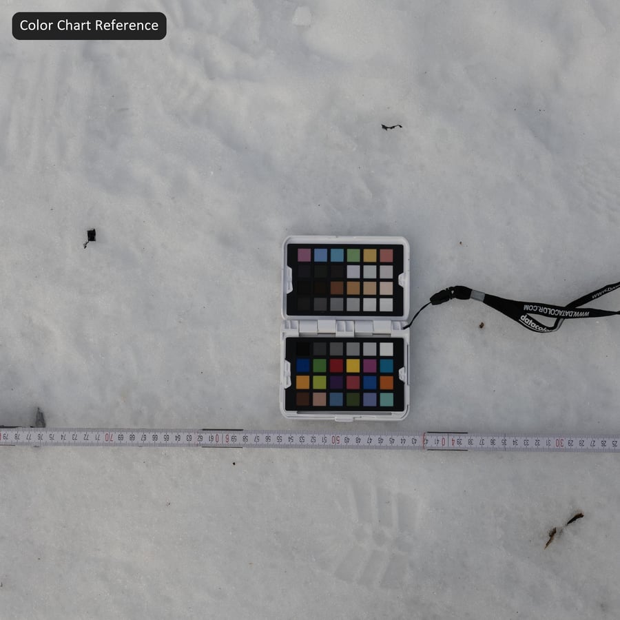 Footprints on Thick Snow Texture